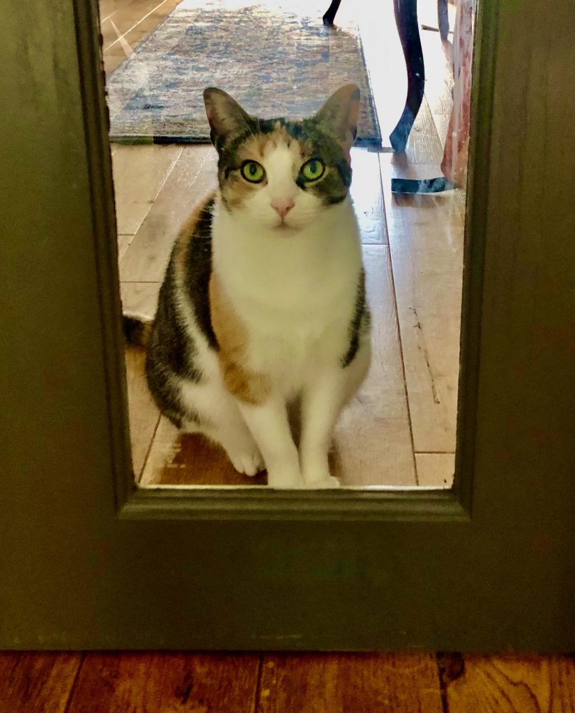 At the Door